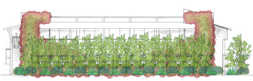 Courtyard plant growth simulation