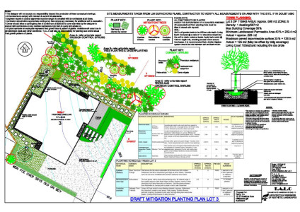 Mitigation Planting Plan